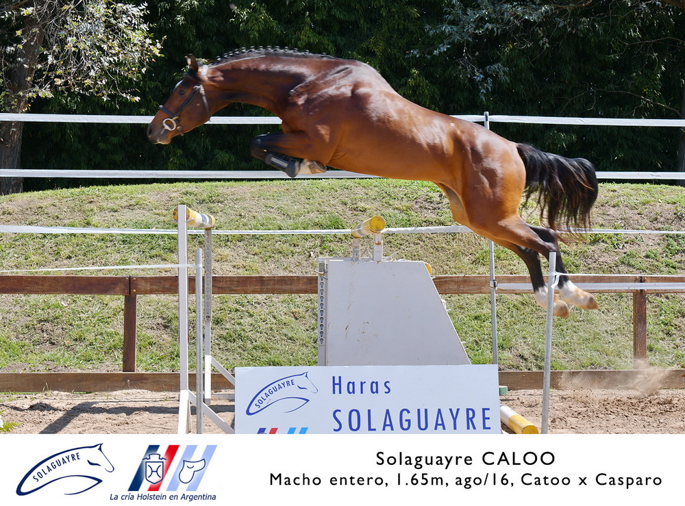 SOLAGUAYRE CALOO
